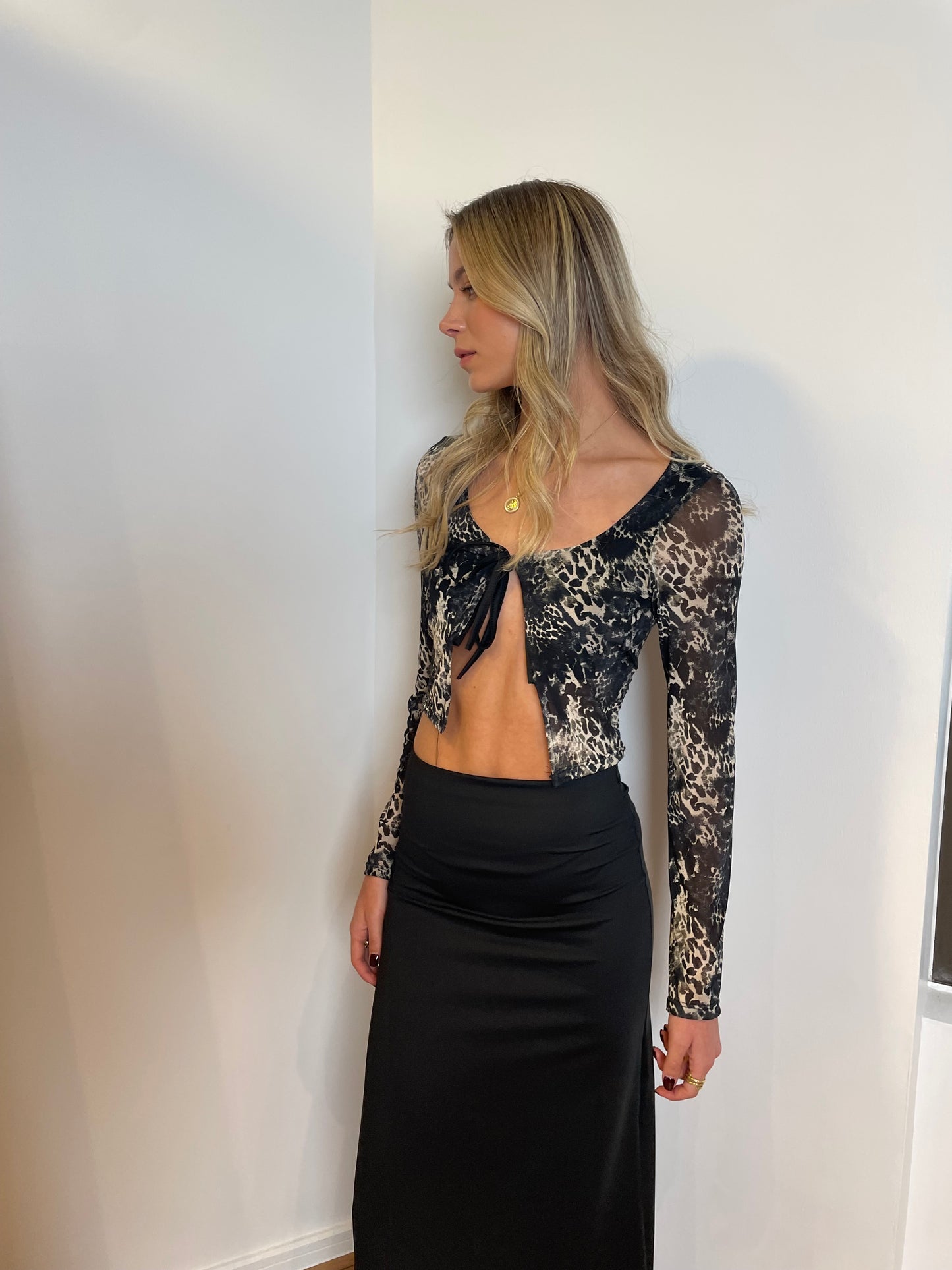 TOP TRANSPARENCIAS